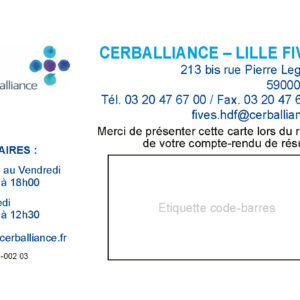Cartes Fives